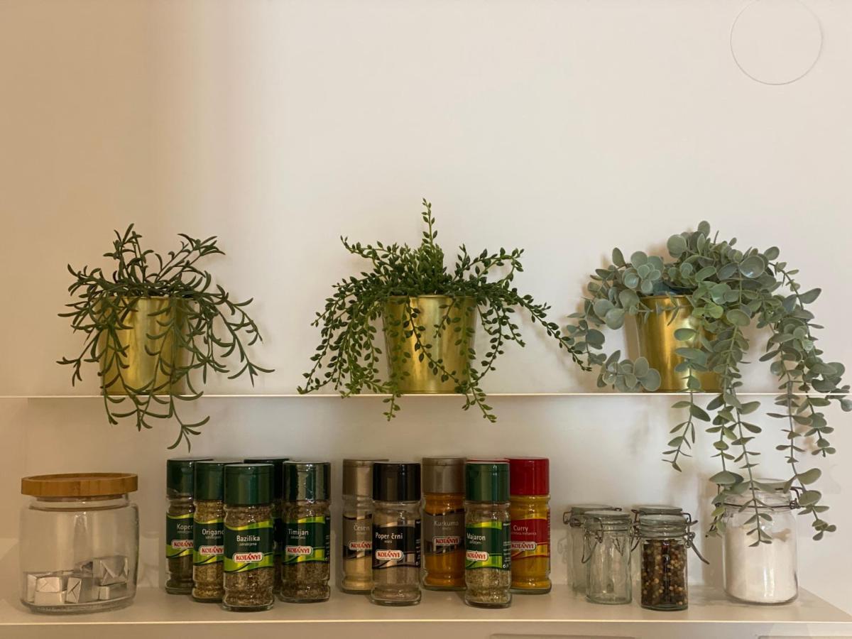 Green Corner Of Bovec - Apartment بوويتش المظهر الخارجي الصورة