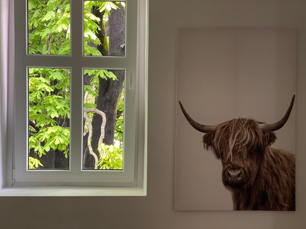 Green Corner Of Bovec - Apartment بوويتش المظهر الخارجي الصورة